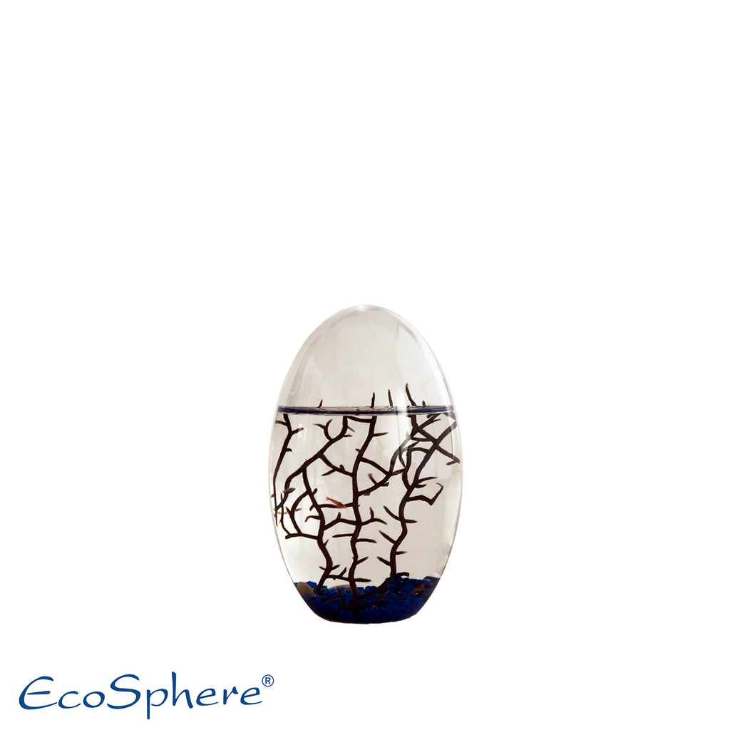 Kleines Oval 13cm Blau