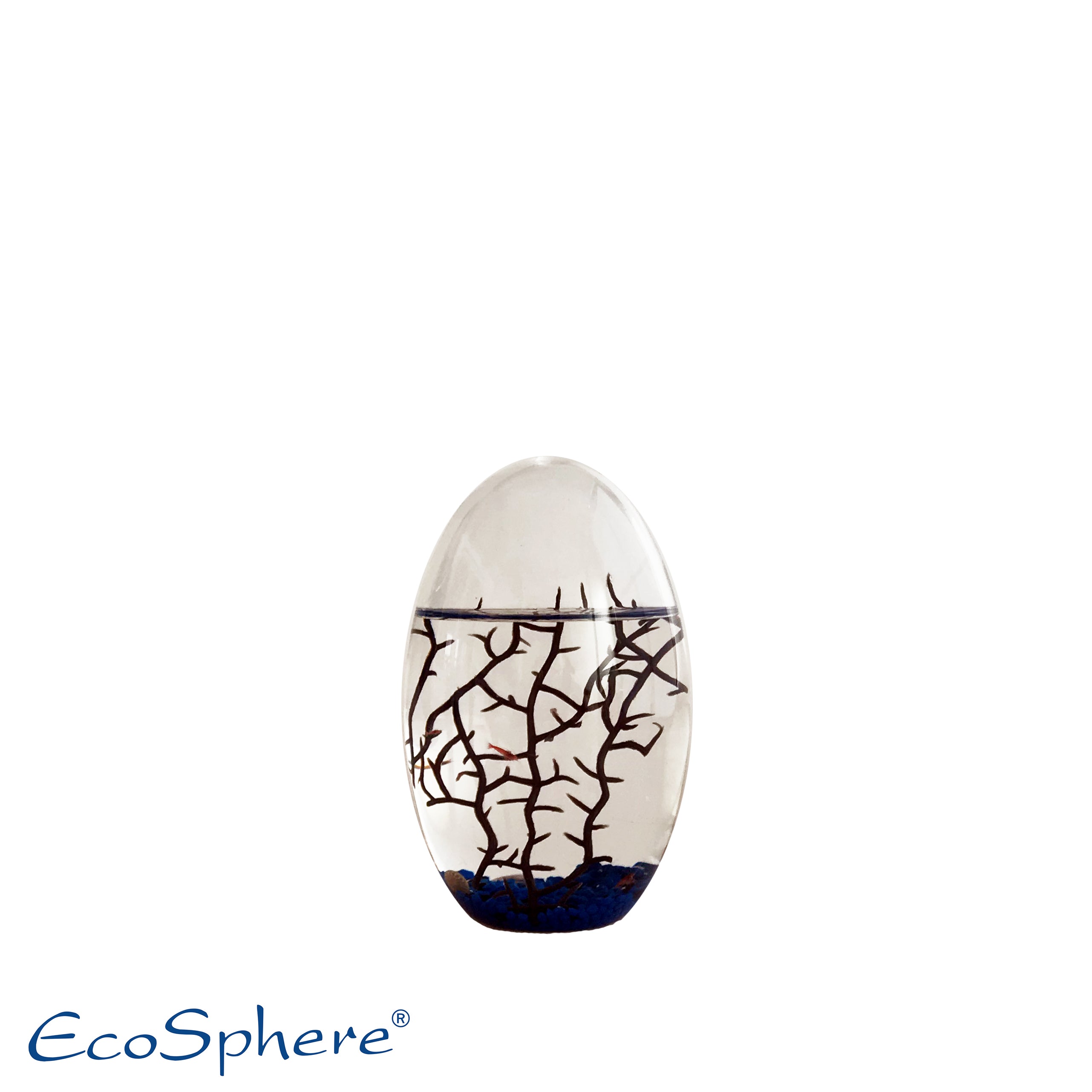 Kleines Oval 13cm Blau
