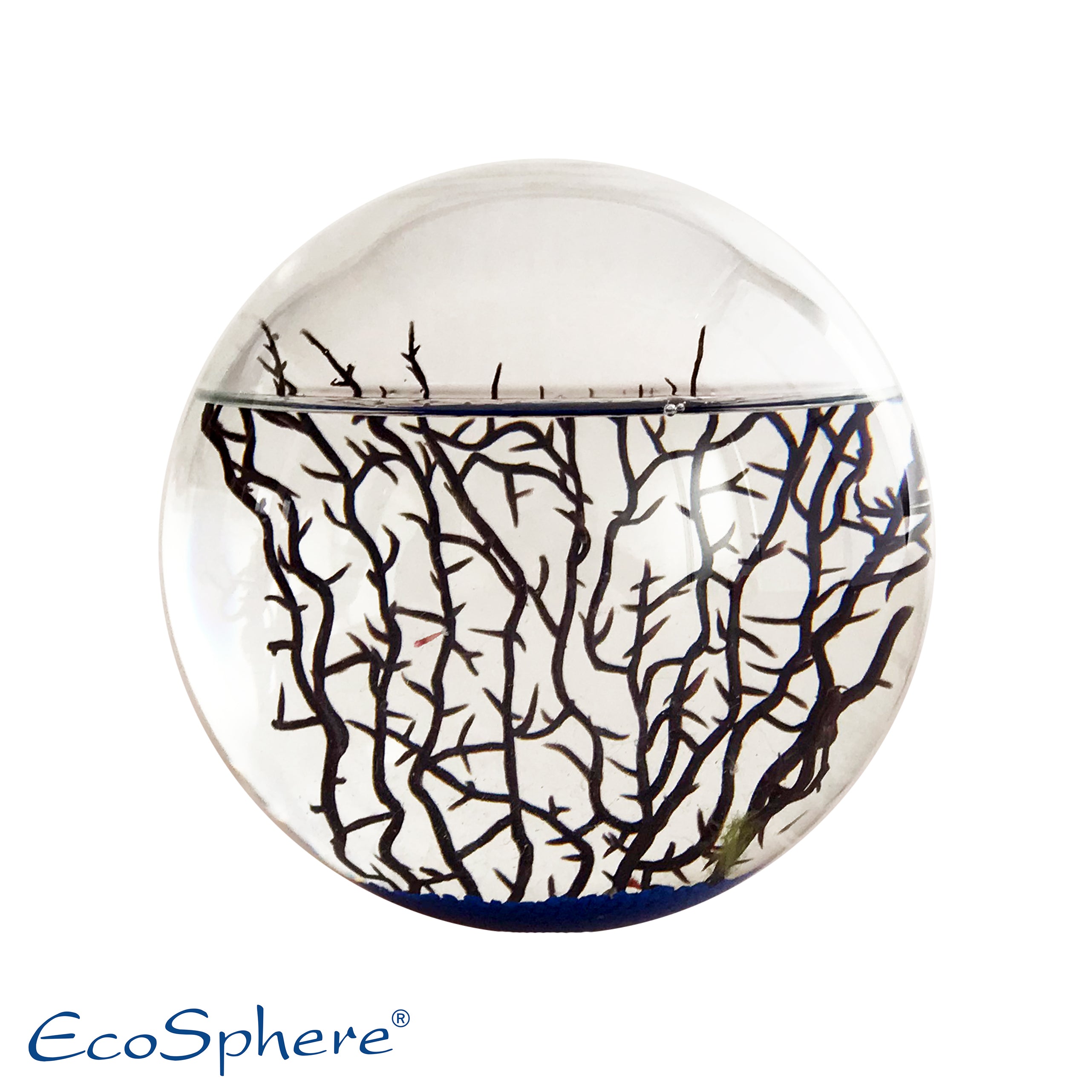 Extra Große Kugel 23cm Blau