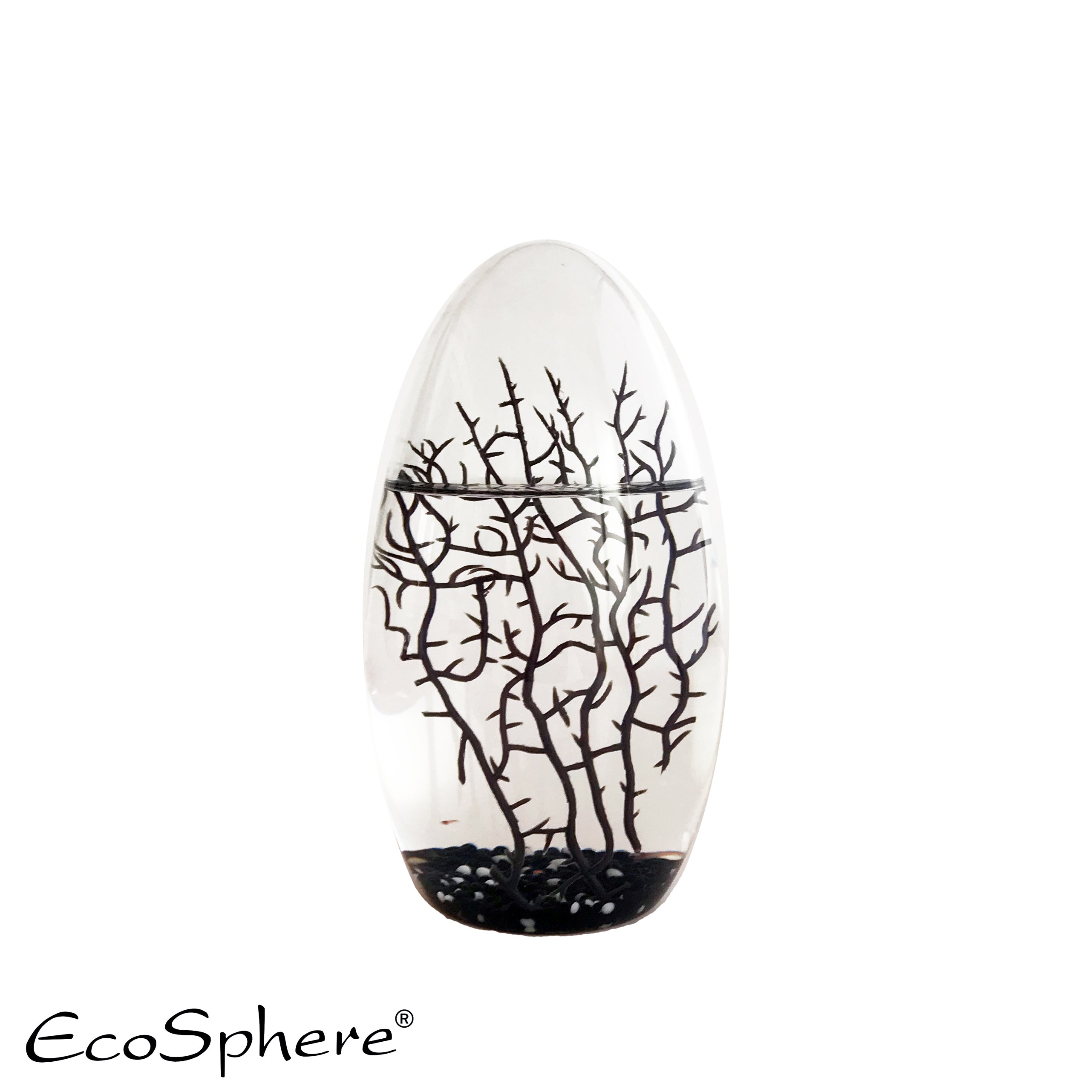 Oval- Gestalte deine eigene Welt