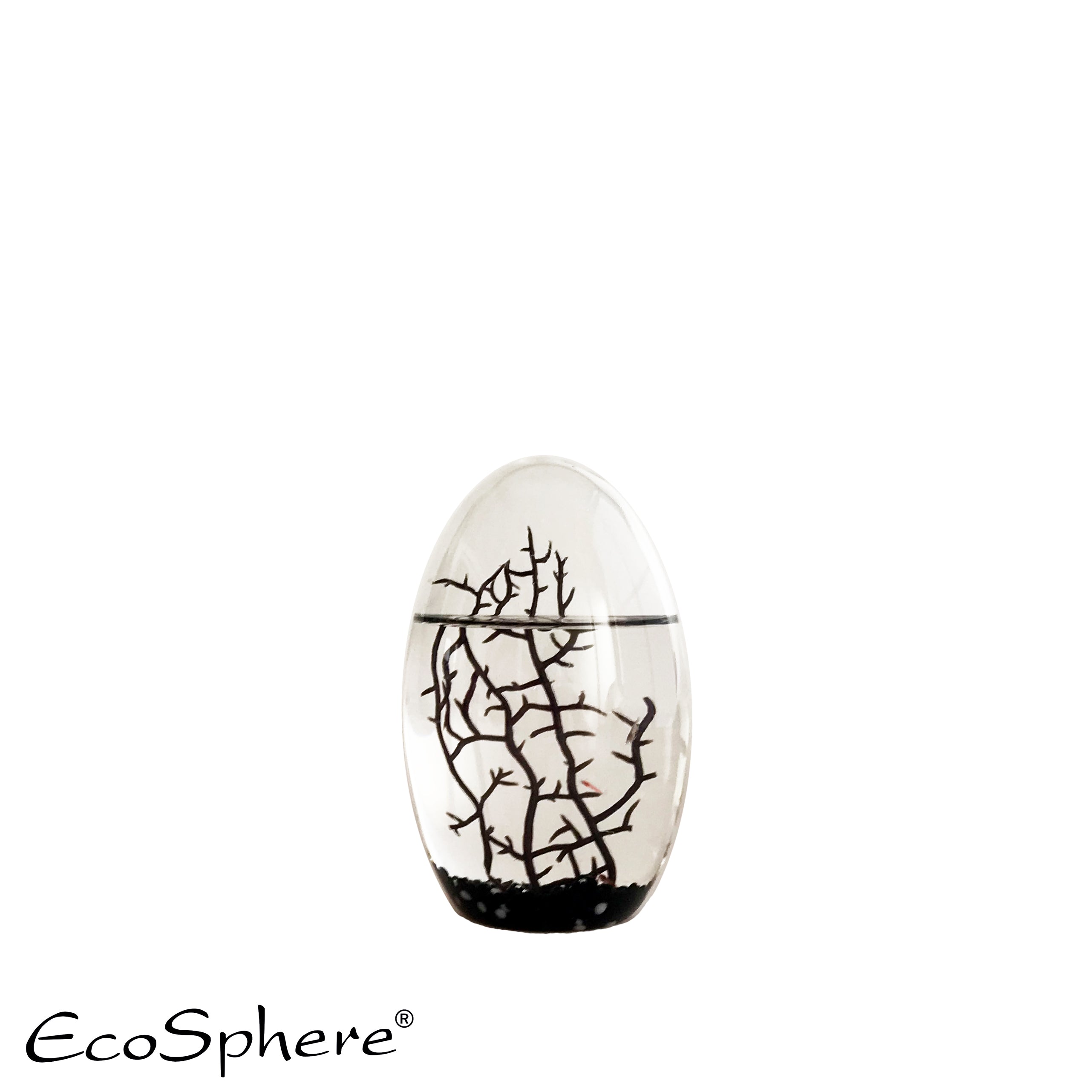 Oval- Gestalte deine eigene Welt